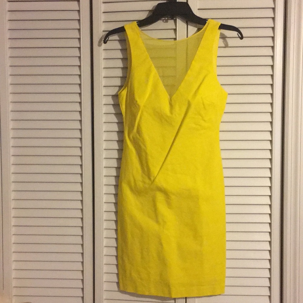 Zara dress